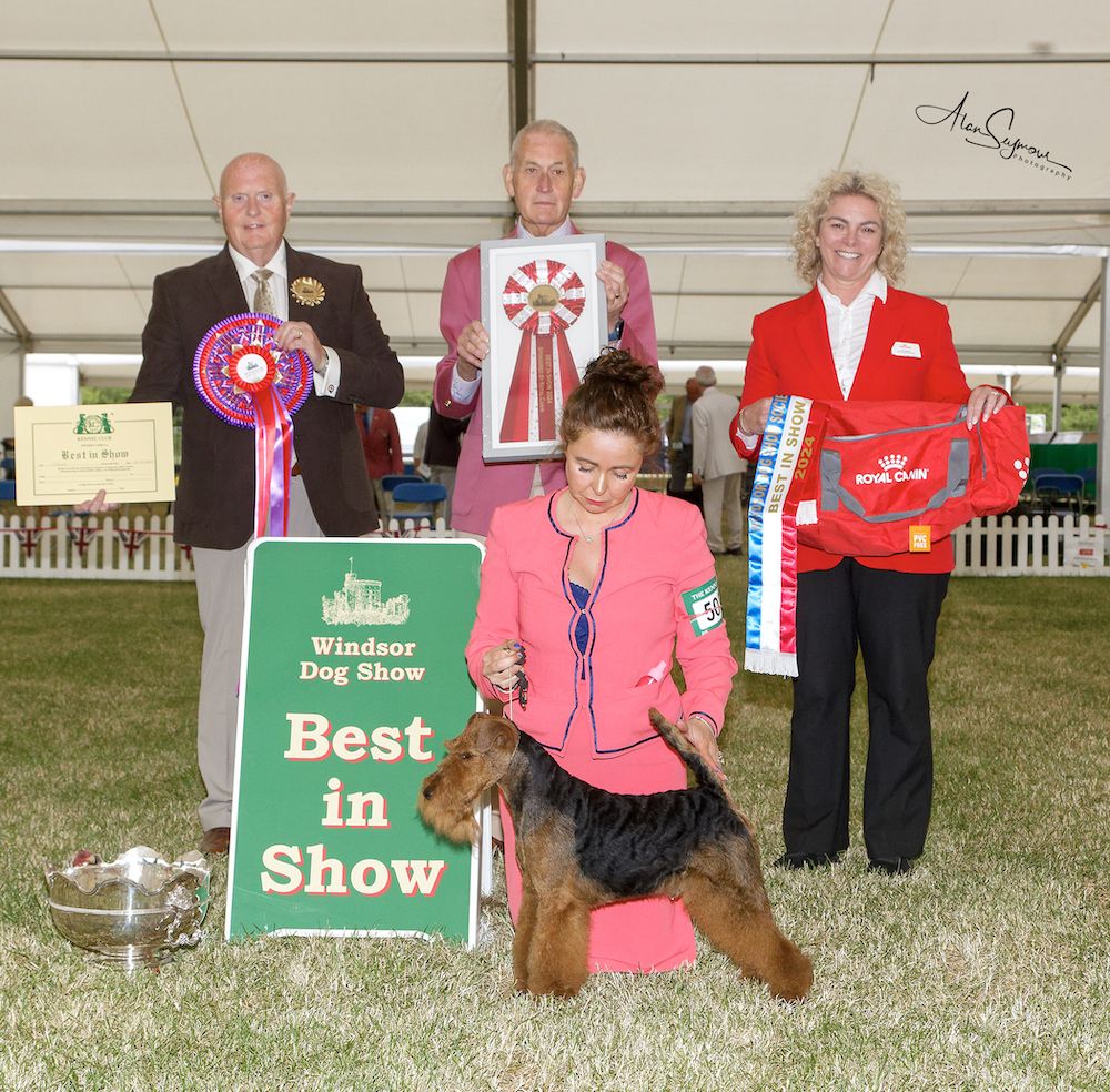 In the Shadow of the Castle 